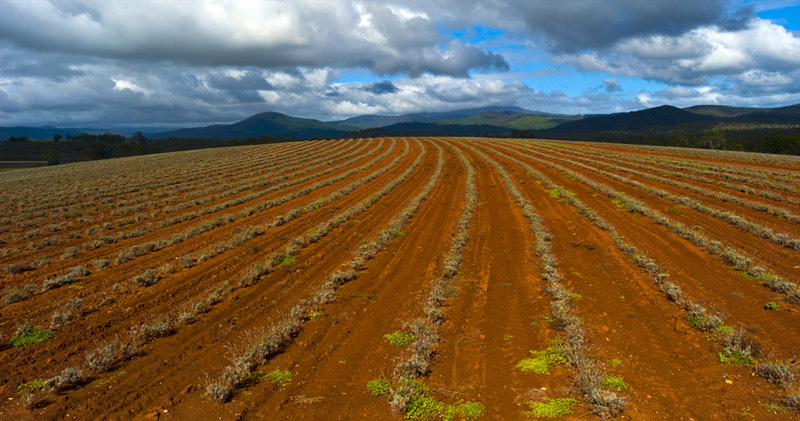 徕卡S五台促销仅售96500_徕卡专卖店(北京区
